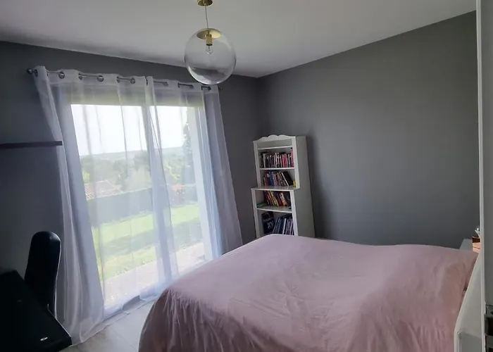 Maison Moderne Avec Piscine * Beaumont-de-Lomagne